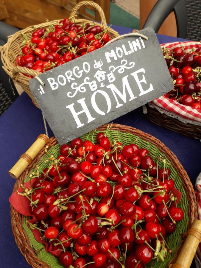 Il Borgo Dei Molini Bed & Breakfast Torreglia Eksteriør bilde
