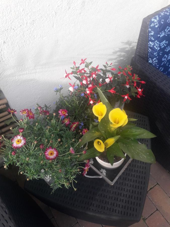 Il Borgo Dei Molini Bed & Breakfast Torreglia Eksteriør bilde