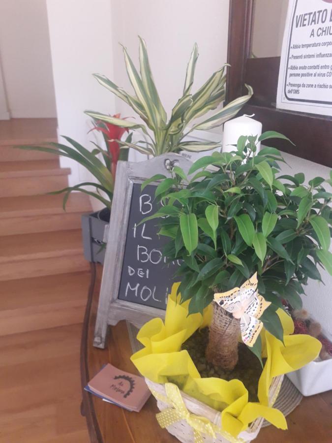 Il Borgo Dei Molini Bed & Breakfast Torreglia Eksteriør bilde